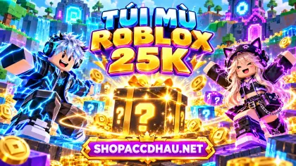 TÚI MÙ ROBLOX 25K