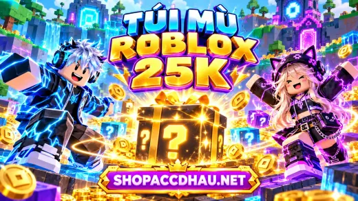 TÚI MÙ ROBLOX 25K
