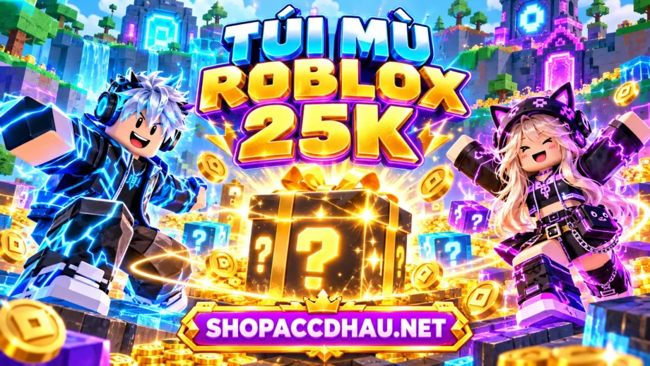 TÚI MÙ ROBLOX 25K